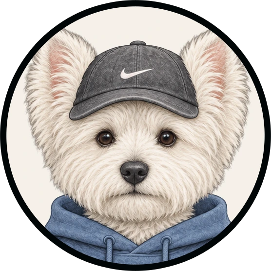 Shoe Dog token icon